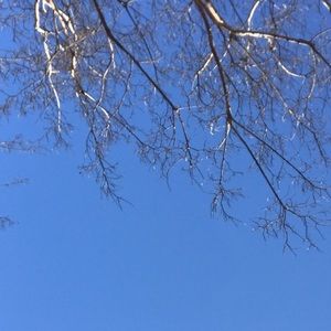 Meet your Posher, Hailey